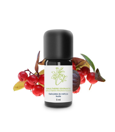 Olio essenziale di Gaultheria Odorata bio e artigianale