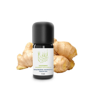 Huile essentielle de Gingembre bio et artisanale