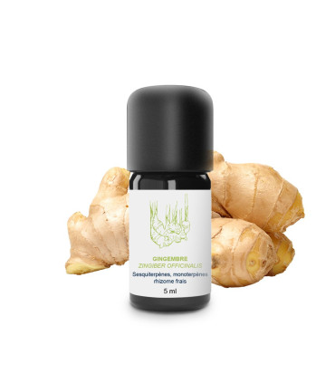 Organic and Handcrafted Ginger Essential Oil
