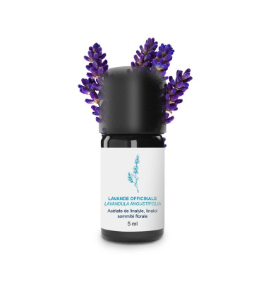Aceite esencial de Lavanda Oficinal (Lavanda Verdadera) orgánico y art