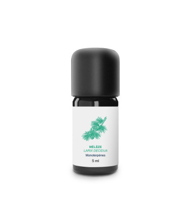 Organic and Handcrafted Larch Essential Oil
