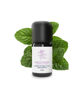 Huile essentielle de Menthe Citronnée bio et artisanale