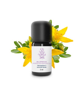 Huile Essentielle de Millepertuis bio & artisanal