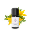 Essential Oil of St. John's Wort 100% Organic and Handmade