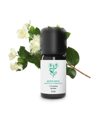 Huile essentielle de Myrte, Myrte Commun bio et artisanale