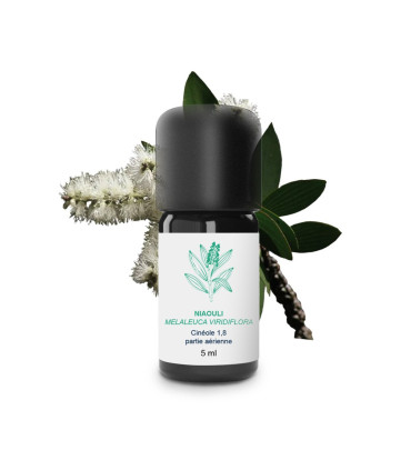 Huile essentielle de Niaouli bio et artisanale
