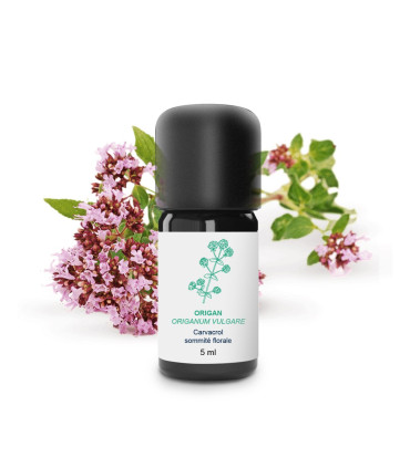 Huile Essentielle Origan bio & artisanal
