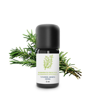 Essential Oil of Organic & Artisanal Rosemary officinal from the Pays 