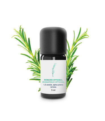 Organic and artisanal Rosemary Officinalis Essential Oil (with cineole
