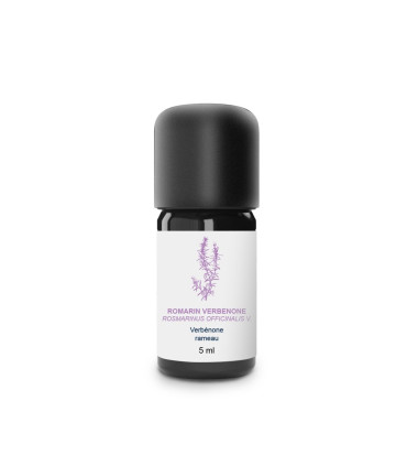 Organic and Handcrafted Rosemary Essential Oil with Verbenone