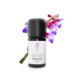 Olio Essenziale di Salvia sclarea 100% Biologico e Artigianale