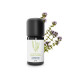 Thujanol Thyme Essential Oil (Common Thyme) organic and handmade