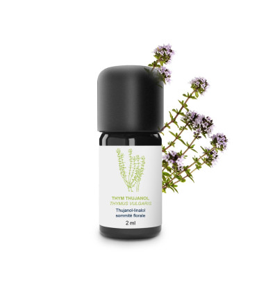 Aceite esencial de Tomillo Tujanol (Tomillo común) orgánico y artesana