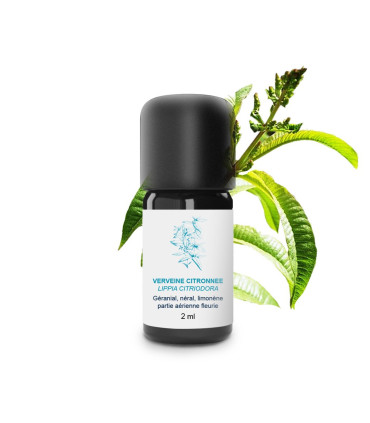 Lemon Verbena Essential Oil, Organic and Handmade Fragrant