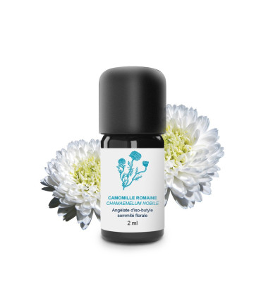 Organic and Handcrafted Roman Chamomile Essential Oil