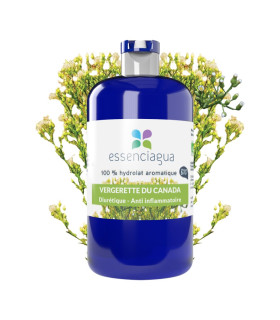 Hydrolat de Vergerette du Canada