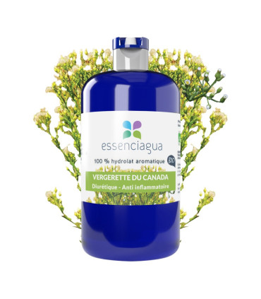 Canadian Fleabane Hydrosol