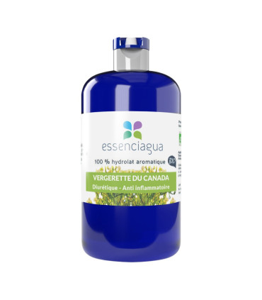 Canadian Fleabane Hydrosol