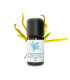 Organic and Handmade Complete Ylang Ylang Essential Oil