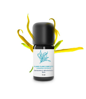 Huile essentielle d'Ylang Ylang Complète  bio et artisanale