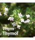 Thymol-Thymian-Hydrolat, Bio und handwerkliches Thymol-Thymian-Wasser