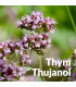 Hydrolat de Thym Thujanol bio et artisanal