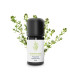 Essential Oil Thyme Paracymene (common thyme) organic & artisanal