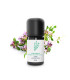 Organic and artisanal essential oil of Thyme Linalool (Common Thyme)