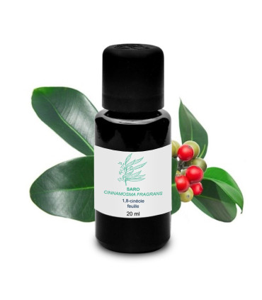 Huile Essentielle Saro, Cinnamosma fragrans, bio & artisanal