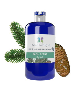 Hydrolat de Sapin Géant bio et artisanal