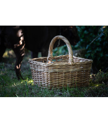 Mazeration von Bio-Knospen Schwarze Johannisbeere 100% Bio und Handwer