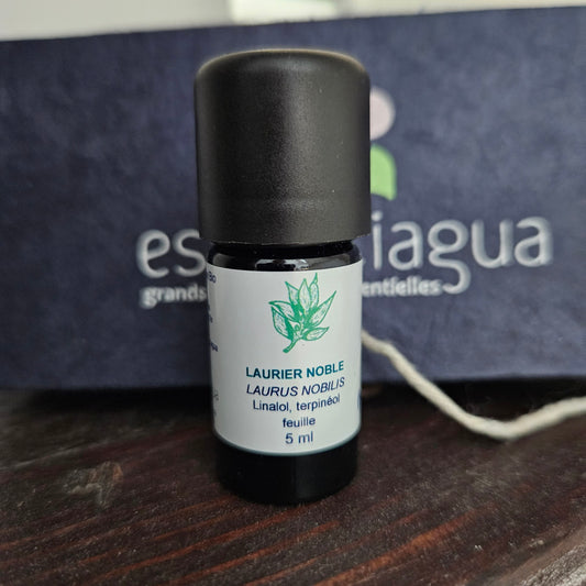 Monographie du Laurier Noble