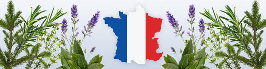 Une alternative locale au ravintsara