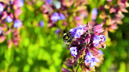Une production éco responsable