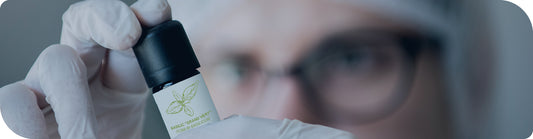 Les Bienfaits des Huiles Essentielles