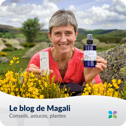 Nos conseils et formations