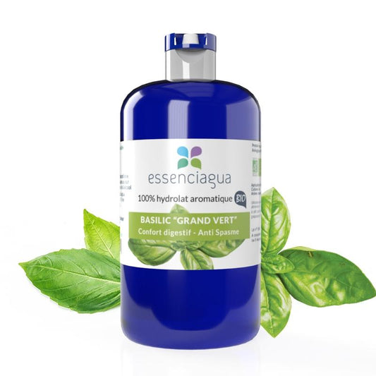 Hydrolat de Basilic grand vert 100% Bio et Artisanal