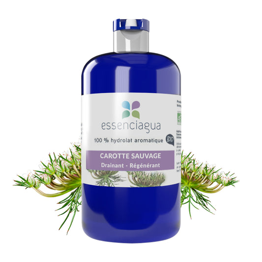 Hydrolat de Carotte sauvage 100% Bio et Artisanal