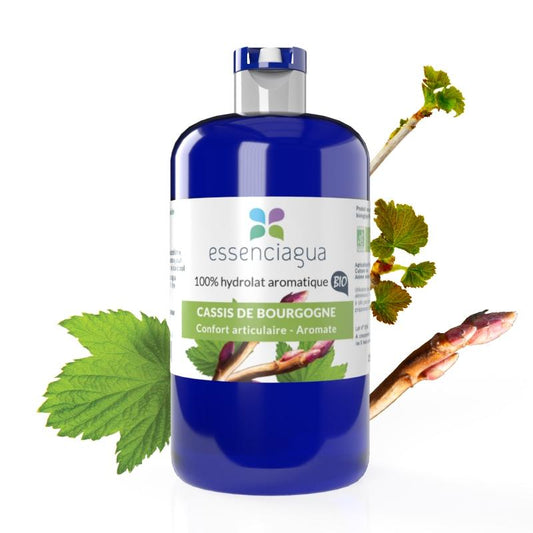 Hydrolat de Cassis de Bourgogne 100% Bio et Artisanal
