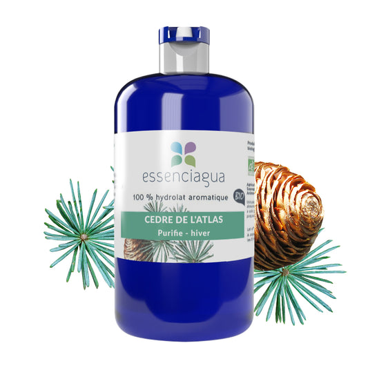Hydrolat de Cèdre de l'Atlas 100% Bio et Artisanal