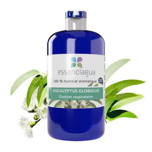 Hydrolat d'Eucalyptus globulus 100% Bio et Artisanal