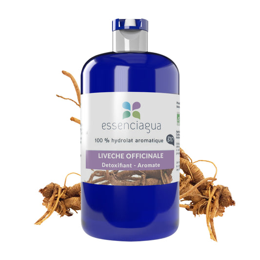 Hydrolat de Livèche (Racine) 100% Bio et Artisanal
