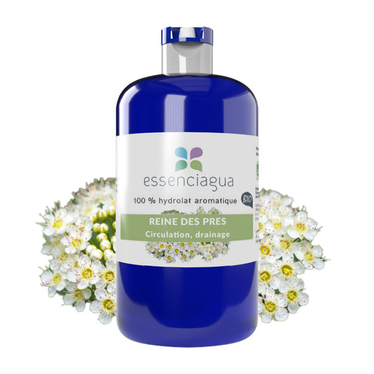 Hydrolat de Reine des prés 100% Bio et Artisanal