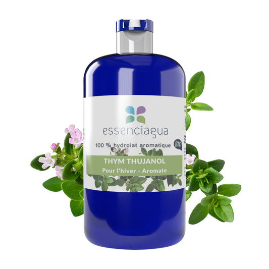 Hydrolat de Thym thujanol 100% Bio et Artisanal