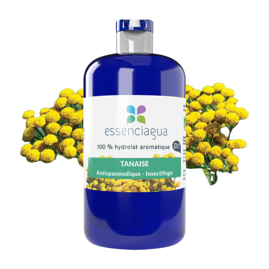 Hydrolat de Tanaisie 100% Bio et Artisanal