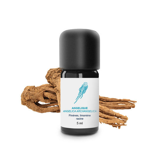 Huile Essentielle d'Angélique (Racine) 100% Bio et Artisanal