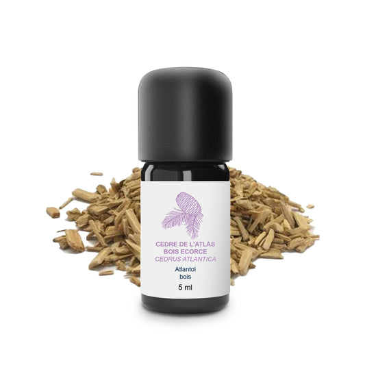 Huile Essentielle de Cèdre de l'Atlas (Écorce) 100% Bio et Artisanal