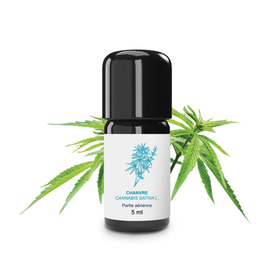 Huile Essentielle de Chanvre 100% Bio et Artisanal