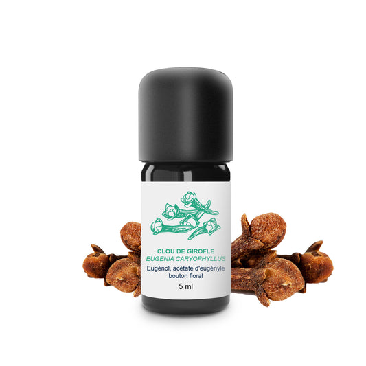 Huile Essentielle de Clou de girofle 100% Bio et Artisanal