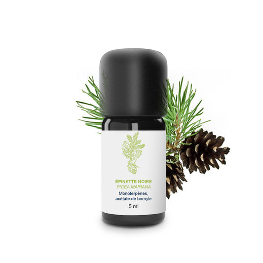 Huile Essentielle d'Epinette noire 100% Bio et Artisanal